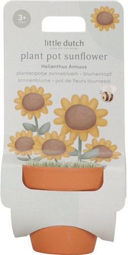 Little Dutch pot de plantation tournesol - cultivez votre propre fleur