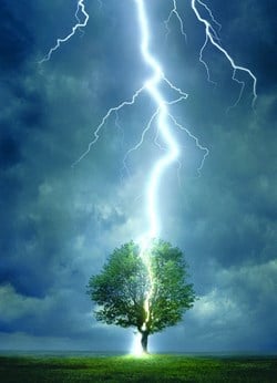 Eurographics puzzel Lightning Striking Tree - 1000 stukjes karton