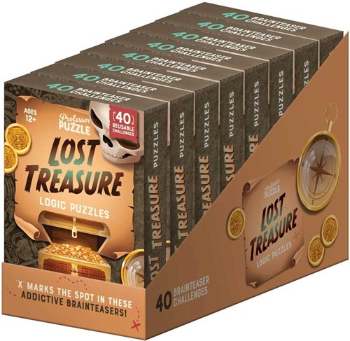 Professor Puzzle casse-têtes logiques Lost Treasure - jeu éducatif aventure-2