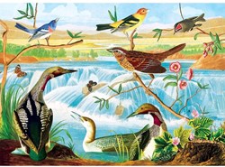 Master Pieces puzzel Audubon vogels en stroompje 1000 stukjes