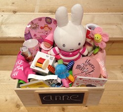 Kraamcadeau Finn's Toy Box