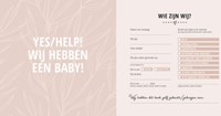Lantaarn babyboek herinnering - Mijn eerste jaar invulboek baby-2