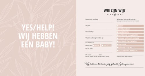 Lantaarn babyboek herinnering - Mijn eerste jaar invulboek baby-2