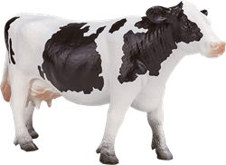 Boerderijdieren
