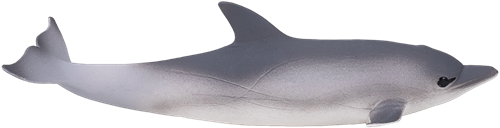Mojo Jouet Sealife Dauphin Commun - 387358-2