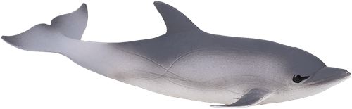 Mojo Jouet Sealife Dauphin Commun - 387358-3
