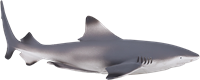 Mojo Jouet Sealife Requin à Pointe Noire - 387357-2