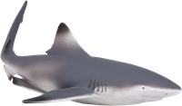 Mojo Jouet Sealife Requin à Pointe Noire - 387357-3