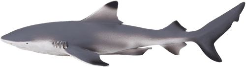 Mojo Sealife speelgoed Zwartpuntrifhaai - 387357