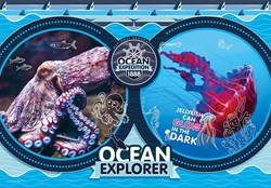 Clementoni puzzel National Geographic Ocean Expedition 180 stukjes dieren