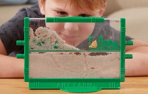ORIGINAL ANT FARM-3