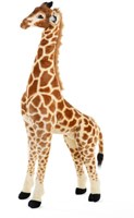 Girafes