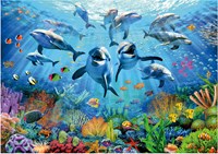 Educa puzzle animaux Party under the sea 500 pièces adultes