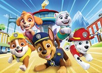 Nathan Paw Patrol Adventures -  Teile