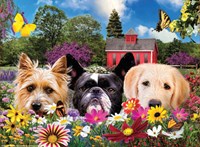 SunsOut puzzel Hallo - 500 stukjes legpuzzel