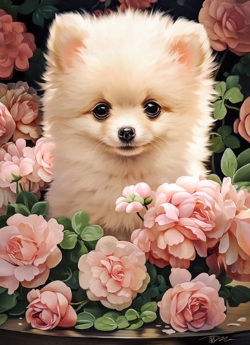 Castorland puzzle Pomeranian Puppy in Roses - 300 pièces