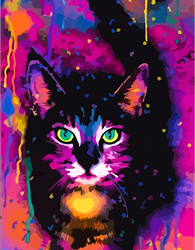 Rosa peinture par numéros chat de l'espace toile 35x45 cm acrylique