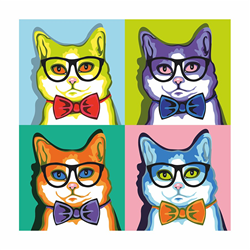 Rosa peinture par numéros chats toile carrée 35x35 cm coffret cadeau