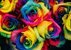 Grafika puzzle casse-tête Rosenstrauß - 1000 pièces bouquet de fleurs