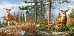 Castorland puzzle Royal Deer Family - 4000 pièces animaux