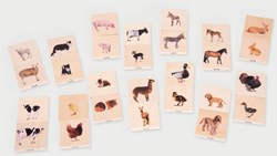 TickiT houten dierenfamilie memoryspel - educatief speelgoed