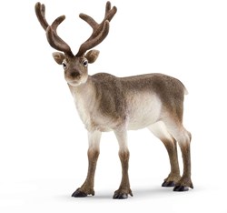 Schleich Safari - Rendier 14837