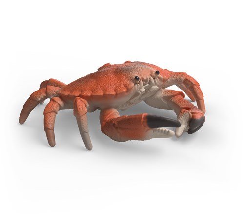 Schleich speelfiguren Zeedieren Ontdekkingsset Wild Life 42742-3