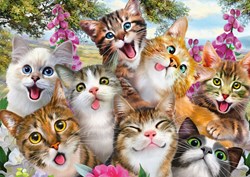 Schmidt puzzel Katten Selfie - 500 stukjes - Premium Quality