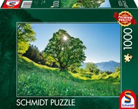Schmidt Bergahorn in der Sonne - St. Gallen, Schweiz - 1000 Teile-2