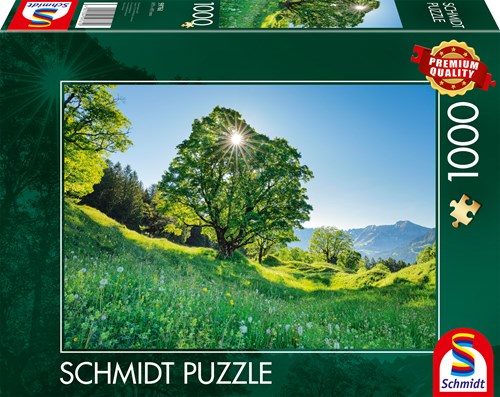 Schmidt Bergahorn in der Sonne - St. Gallen, Schweiz - 1000 Teile-2