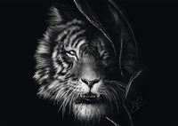 Schmidt Wildernis: Tijger