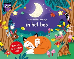 Lantaarn kinderboek Slaap lekker kleintje - bedtijd bos avontuur