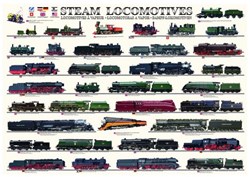 Eurographics puzzel Steam Locomotives - 1000 stukjes