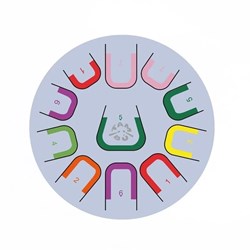 Tambú Plus - Tongdrum Pure Connection