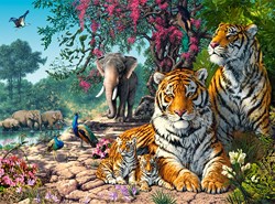 Castorland puzzel dieren The Tiger Sanctuary - 3000 stukjes