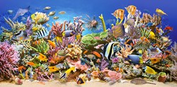 Castorland puzzle vie sous-marine - puzzle 4000 pièces animaux