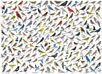 Eurografiek De wereld van vogels (1000)