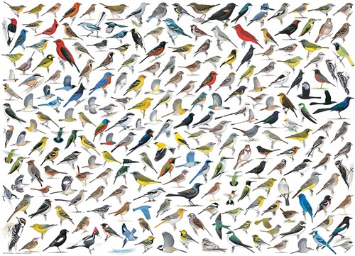 Eurografiek De wereld van vogels (1000)