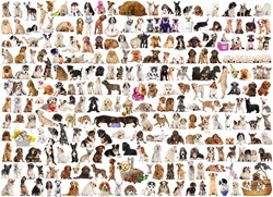 Eurographics puzzel honden dieren - 1000 stukjes legpuzzel