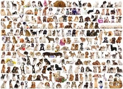 Eurographics puzzel honden dieren - 1000 stukjes legpuzzel