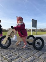Trybike houten loopfiets 4 in 1 oranje