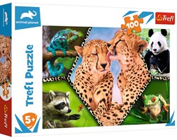 Trefl Trefl 100 - Prachtige natuur / Ontdekking Animal Planet