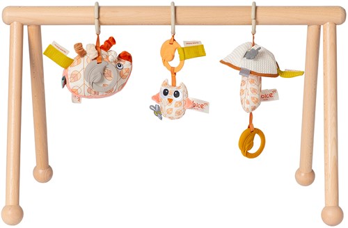 Van Dijk Toys & Dolce houten babygym Earth (kinderopvang kwaliteit)-2
