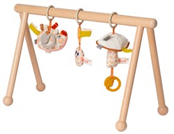 Van Dijk Toys & Dolce houten babygym Earth (kinderopvang kwaliteit)