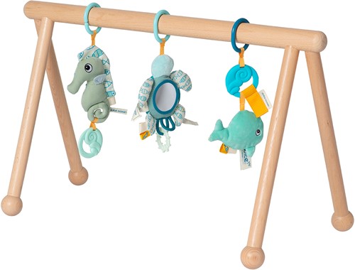 Van Dijk Toys & Dolce houten babygym Ocean (kinderopvang kwaliteit)