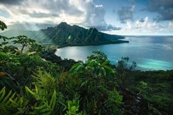 Ravensburger puzzel Hawaii landschap - legpuzzel 5000 stukjes premium