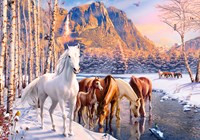 Castorland puzzle Winter Melt - 500 pièces - puzzle animaux