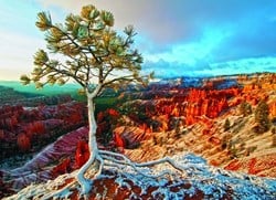 Eurographics puzzel winterzonsopgang 1000 stukjes karton