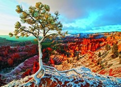 Eurographics puzzel Winter Sunrise - 1000 stukjes