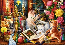 Castorland puzzle Wizard Kittens - 1000 pièces puzzle chat